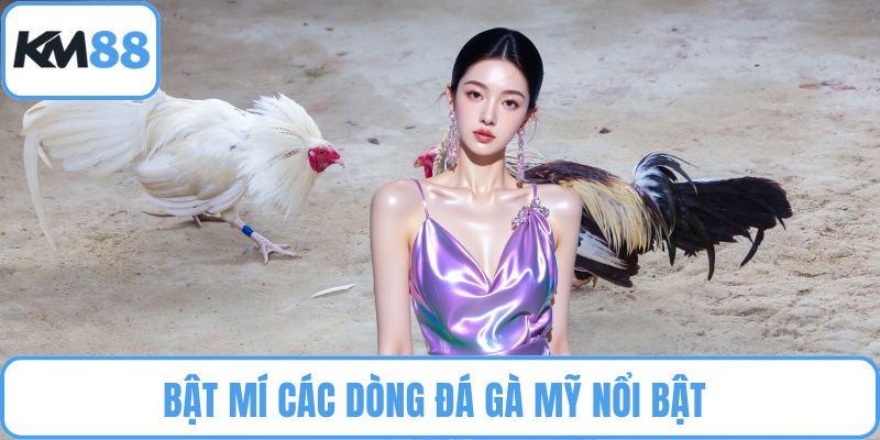 Đá Gà Mỹ
