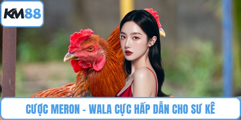 Đá Gà Chọi