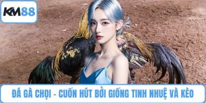 Đá Gà Chọi
