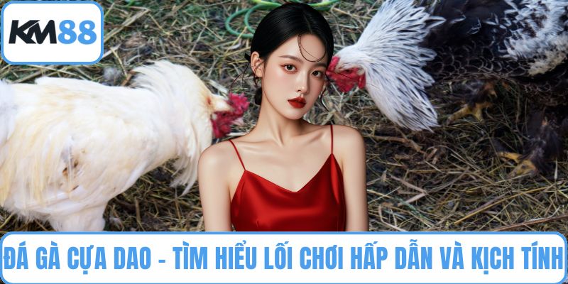 Đá gà cựa dao