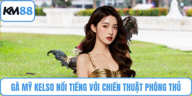 Đá Gà Mỹ