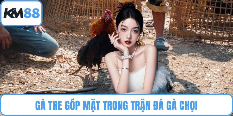 Đá Gà Chọi