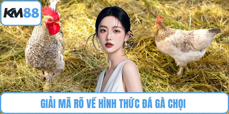Đá Gà Chọi
