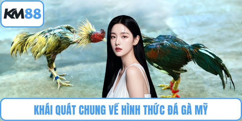 Đá Gà Mỹ